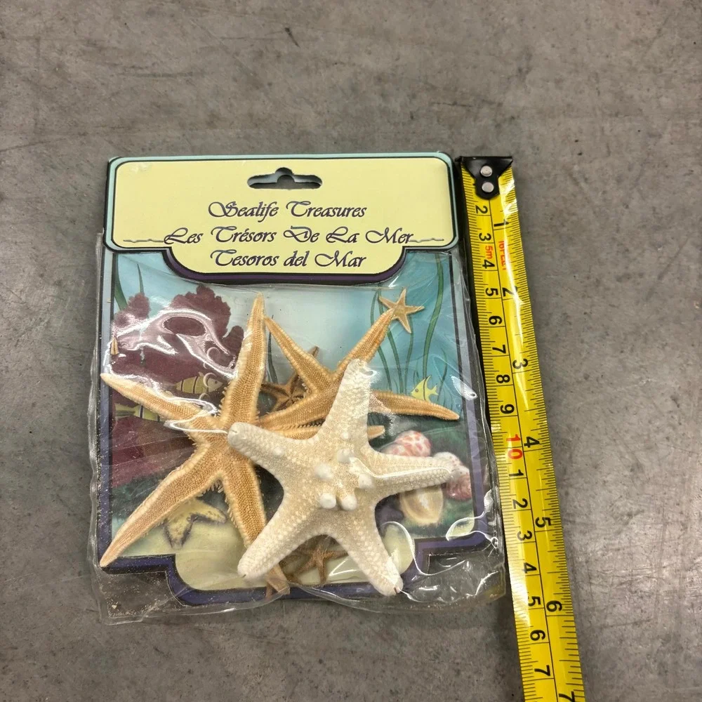 U.S. Shell Inc Natural Starfish 10 Pc Pack Beach Coastal Craft Decor NOS New